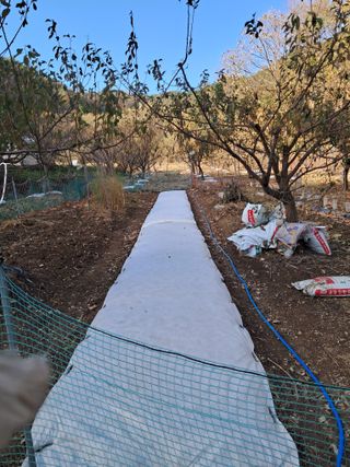 낙엽교목류21691님의 오늘 어떤 농작업하셨나요? · 참여글 작성글 사진