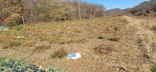 신승철님의 콩 · 영농일지 작성글 사진