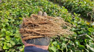 조병대님의 기타작물 · 자유게시판 작성글 사진