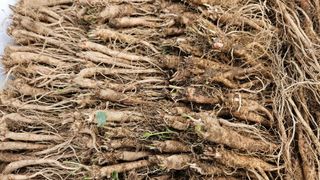 조병대님의 기타작물 · 자유게시판 작성글 사진