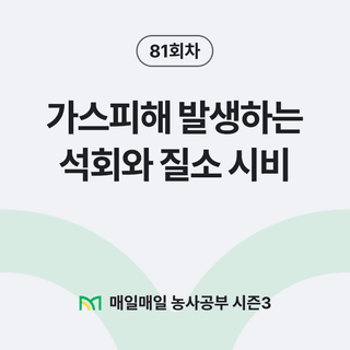 팜모닝 농사공부님의 매일매일 농사공부 · 매일매일 농사공부 작성글 사진