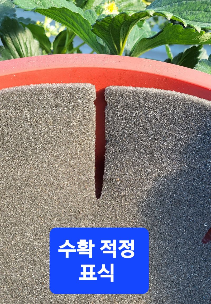 산청스폰지(최은주)님의 장터 판매 상품 [검정색 스폰지 ] 첨부 사진