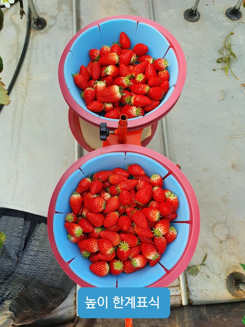 장터 상품 [검정색 스폰지 ] 썸네일