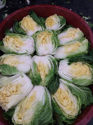 류남열님의 사과 · 영농일지 작성글 사진