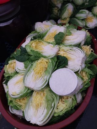 류남열님의 사과 · 영농일지 작성글 사진