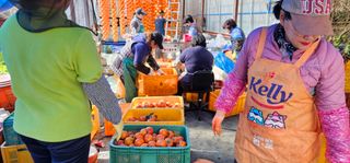 백용기님의 자유주제 · 자유게시판 작성글 사진