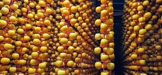 백용기님의 자유주제 · 자유게시판 작성글 사진