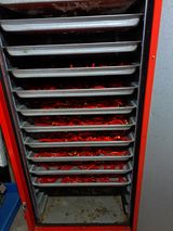 팜모닝 오늘 어떤 농작업하셨나요?·참여글 게시글 이미지