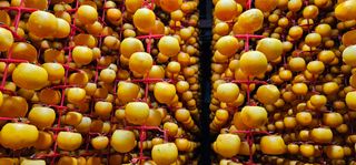 백용기님의 자유주제 · 자유게시판 작성글 사진