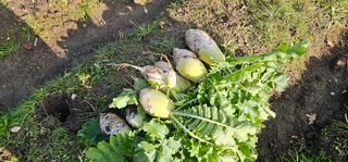 백용기님의 자유주제 · 자유게시판 작성글 사진