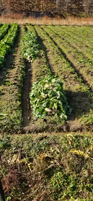 백용기님의 자유주제 · 자유게시판 작성글 사진