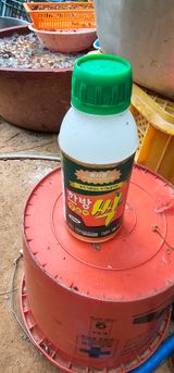 팜모닝 고추·영농일지 게시글 이미지