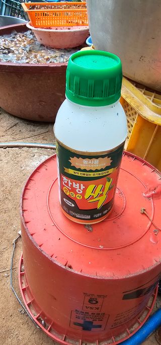 정병화니네농장님의 고추 · 영농일지 작성글 사진