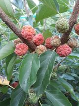 팜모닝 자유주제·자유게시판 게시글 이미지