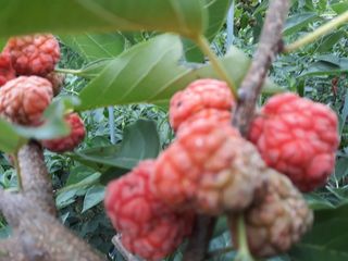 정상훈님의 자유주제 · 자유게시판 작성글 사진