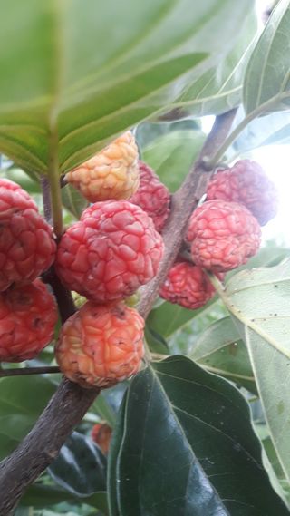 정상훈님의 자유주제 · 자유게시판 작성글 사진