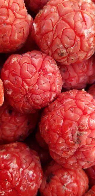 정상훈님의 자유주제 · 자유게시판 작성글 사진