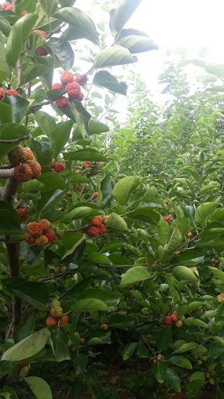 정상훈님의 자유주제 · 자유게시판 작성글 사진