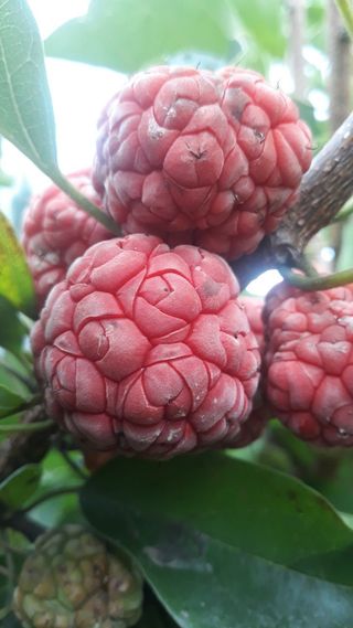 정상훈님의 자유주제 · 자유게시판 작성글 사진