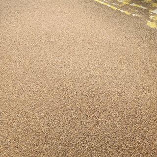 노지잔대재배7년차님의 오늘 어떤 농작업하셨나요? · 참여글 작성글 사진