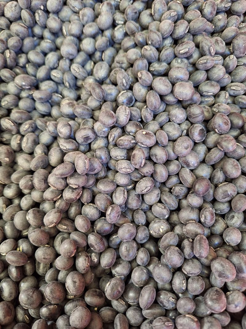 장터 상품 [햇 서리태] 썸네일