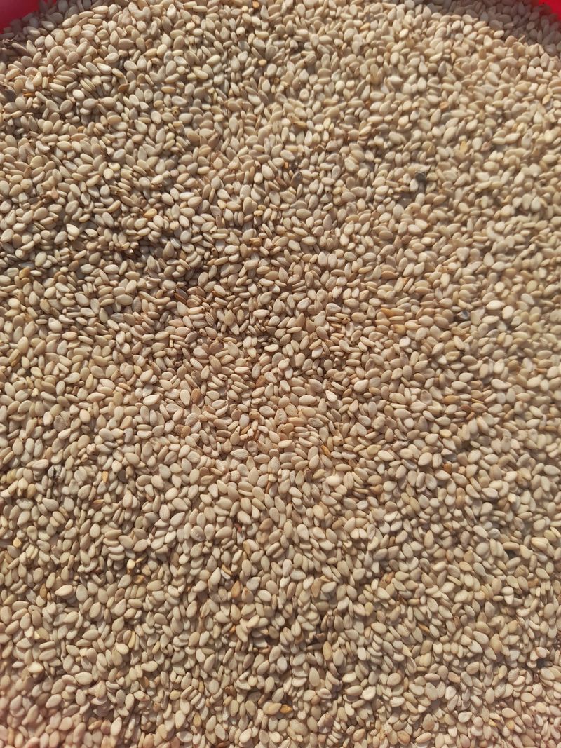 장터 상품 [참깨 1kg] 썸네일