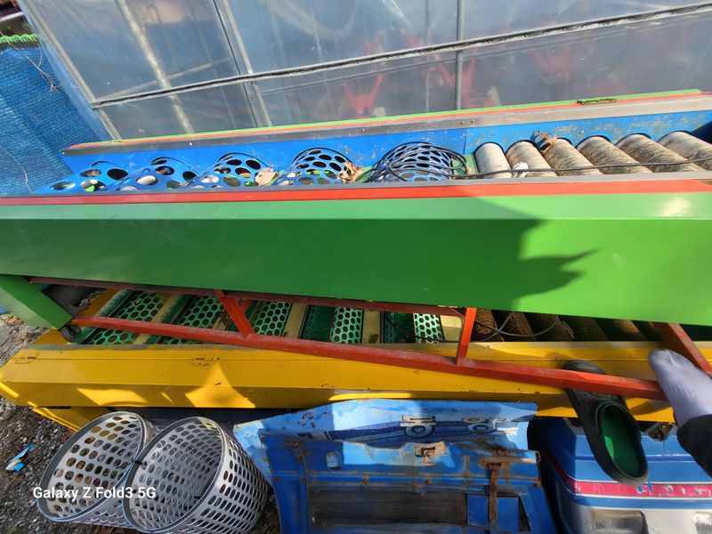 최도윤님의 장터 판매 상품 [감자.토마토. 선별기판매합니다 
] 첨부 사진