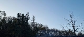 달방구님의 자유주제 · 자유게시판 작성글 사진