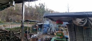 달방구님의 자유주제 · 자유게시판 작성글 사진