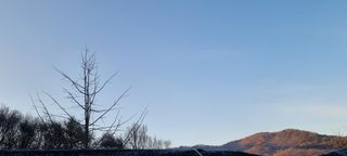 달방구님의 자유주제 · 자유게시판 작성글 사진