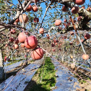 이용희 님의 작성글 사진