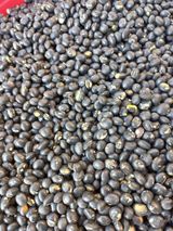 팜모닝 콩·자유게시판 게시글 이미지