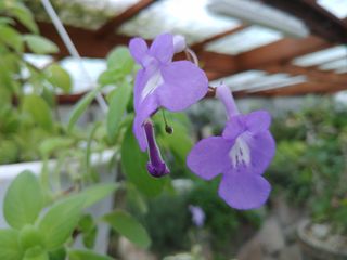 달맛햇복숭아농원님의 자유주제 · 사진전 작성글 사진