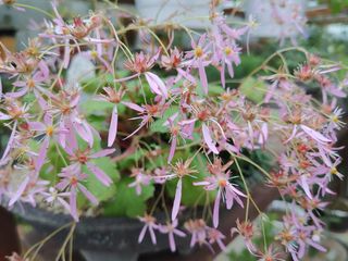 달맛햇복숭아농원님의 자유주제 · 사진전 작성글 사진