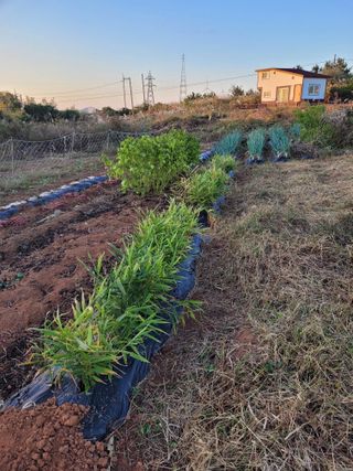 김 농부님의 자유주제 · 자유게시판 작성글 사진