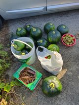 팜모닝 오늘 어떤 농작업하셨나요?·참여글 게시글 이미지