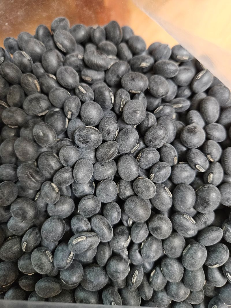 장터 상품 [경북6호서리태] 썸네일