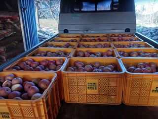 알 수 없음님의 자유주제 · 자유게시판 작성글 사진