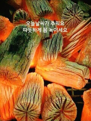 심수연님의 자유주제 · 자유게시판 작성글 사진
