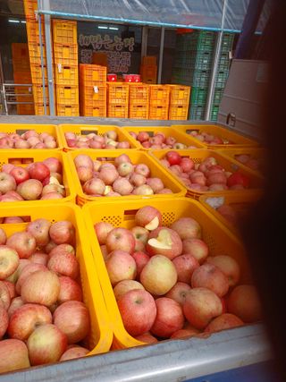 알 수 없음님의 자유주제 · 자유게시판 작성글 사진