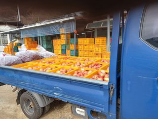 알 수 없음님의 자유주제 · 자유게시판 작성글 사진