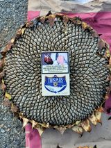 팜모닝 오늘 어떤 농작업하셨나요?·참여글 게시글 이미지