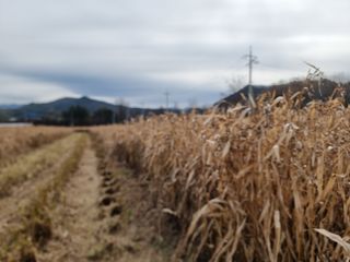 심상진님의 기타작물 · 자유게시판 작성글 사진