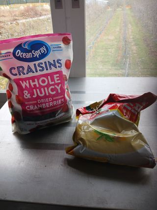 알 수 없음님의 자유주제 · 자유게시판 작성글 사진