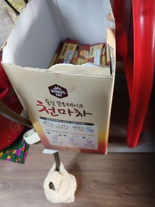 알 수 없음님의 자유주제 · 자유게시판 작성글 사진