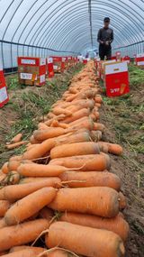 팜모닝 오늘 어떤 농작업하셨나요?·참여글 게시글 이미지