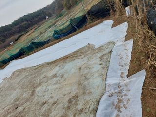 지금은 공돌이님의 마늘 · 일상 작성글 사진