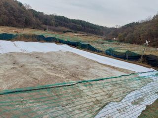 지금은 공돌이님의 마늘 · 일상 작성글 사진