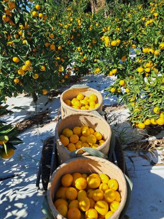 알 수 없음님의 작성글 사진