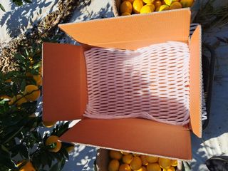 알 수 없음님의 작성글 사진